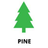 Pine